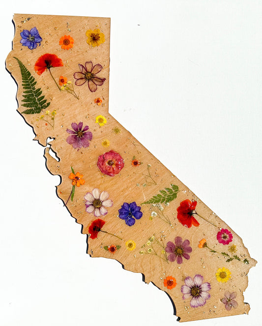 California (any state) pressed flower wall art