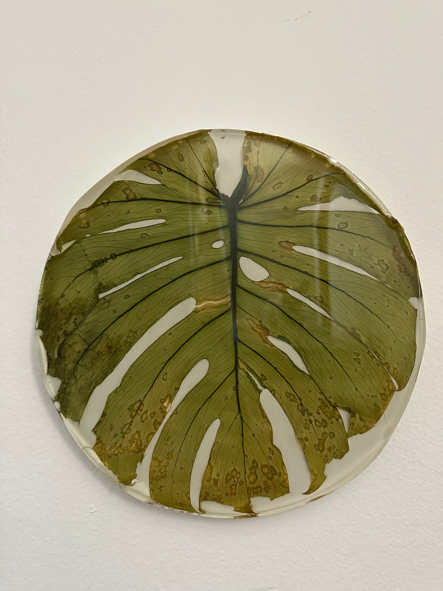 Monstera 3D art piece