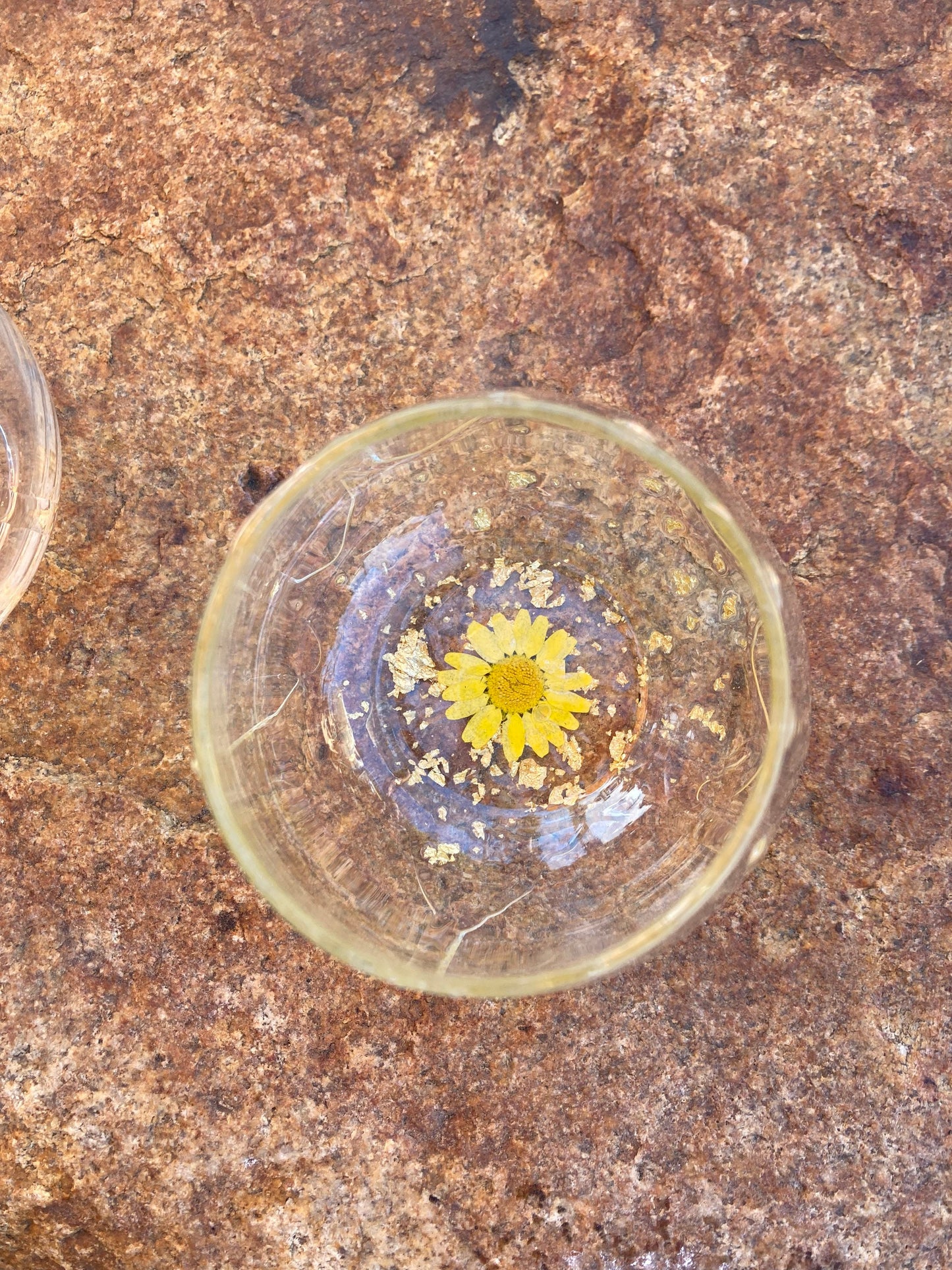 Pressed flower stemless wine glasses ~ daisy