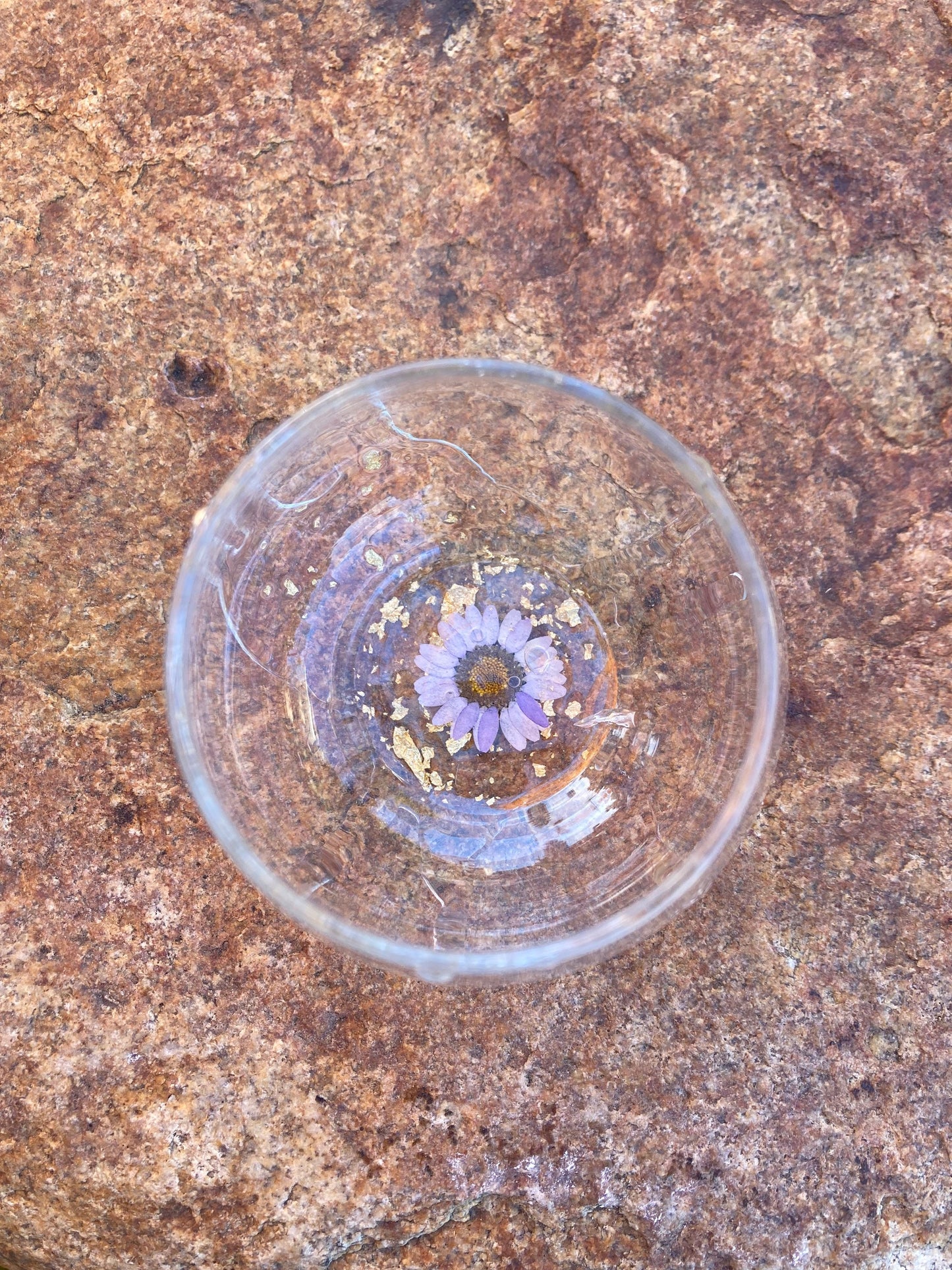 Pressed flower stemless wine glasses ~ daisy