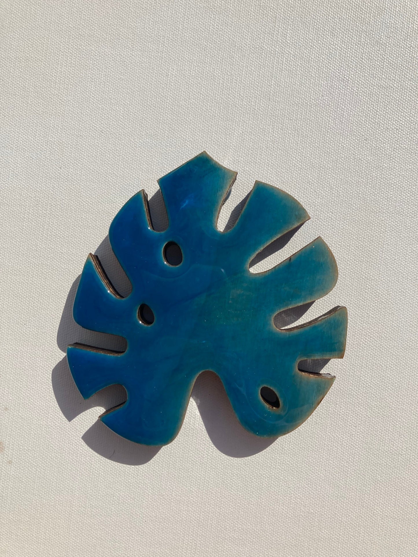 Monstera leaf coaster set