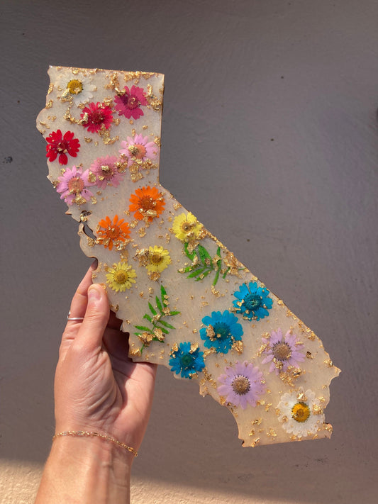Rainbow California wall art