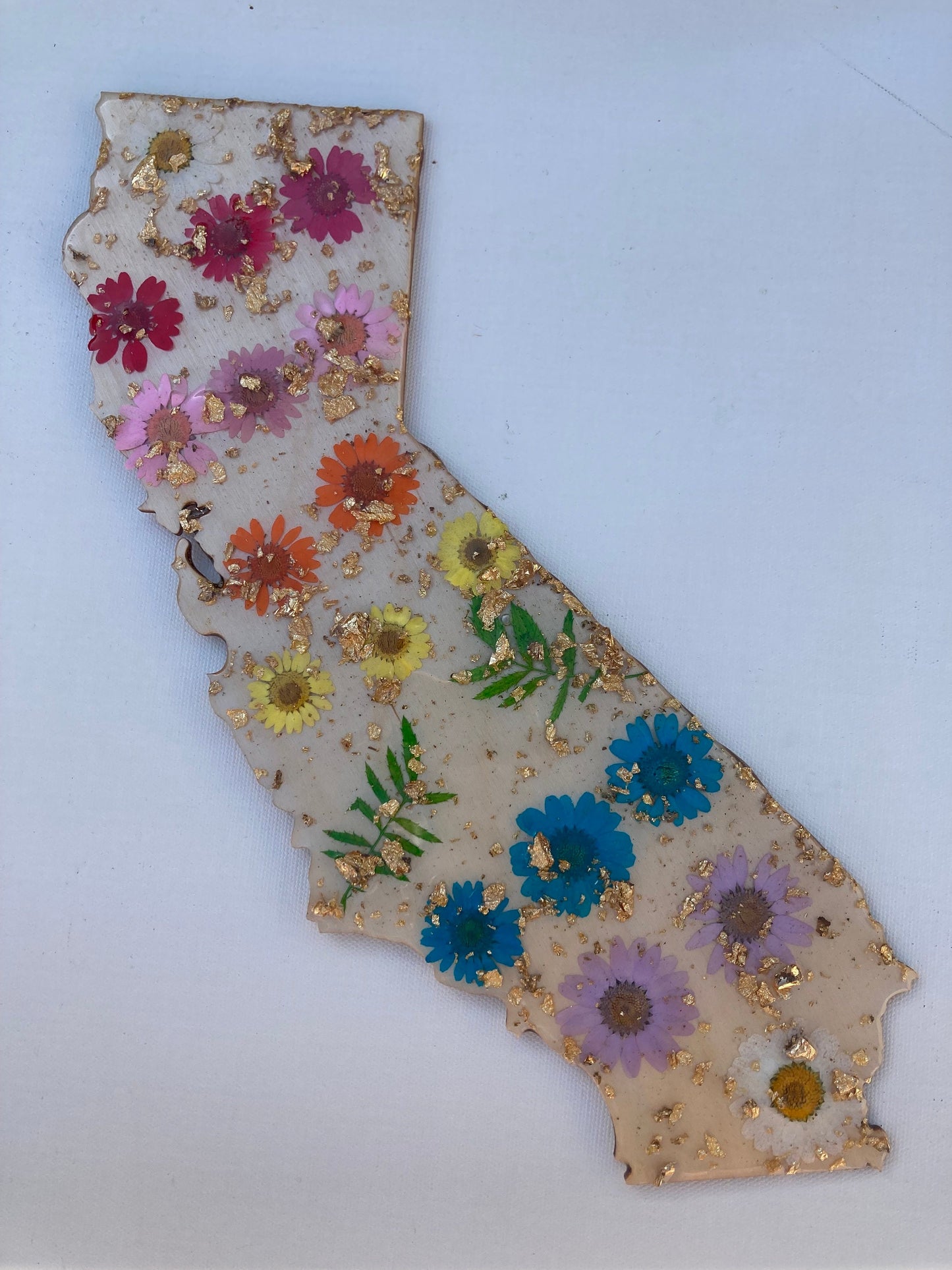 Rainbow California wall art