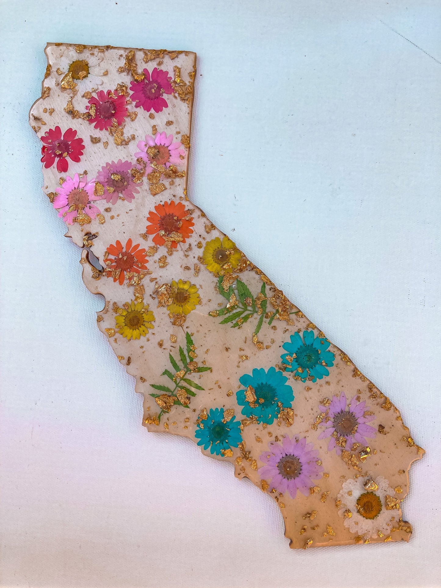Rainbow California wall art